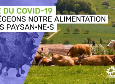 Covid19, agriculture et réforme de la PAC : Claude Gruffat et Benoit Biteau font part de leurs propositions à Didier Guillaume
