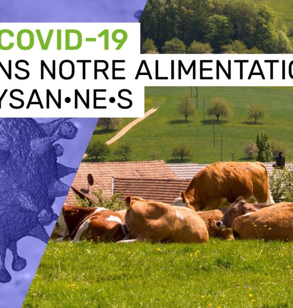 Covid19, agriculture et réforme de la PAC : Claude Gruffat et Benoit Biteau font part de leurs propositions à Didier Guillaume