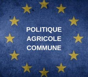 DOSSIER DE PRESSE – « Il est urgent de changer de politique agricole !»