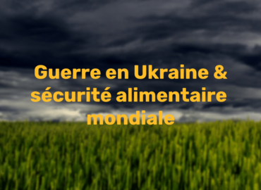 Dossier de presse – Guerre en Ukraine & sécurité alimentaire