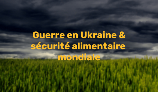 Dossier de presse – Guerre en Ukraine & sécurité alimentaire