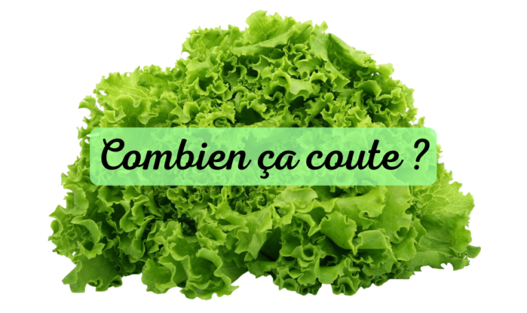 salade combien ça coute