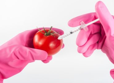 OGM : la (dé)règlementation que propose la Commission européenne ouvre une nouvelle bataille au Parlement européen